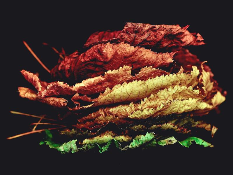 赛博朋克2077<br>kclfxfu.cn 夜之城生存